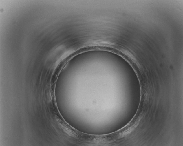 X0000062900974200601171535