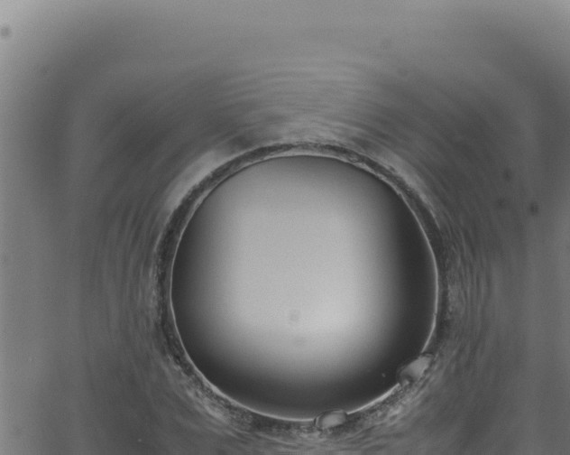 X0000062900975200601171535