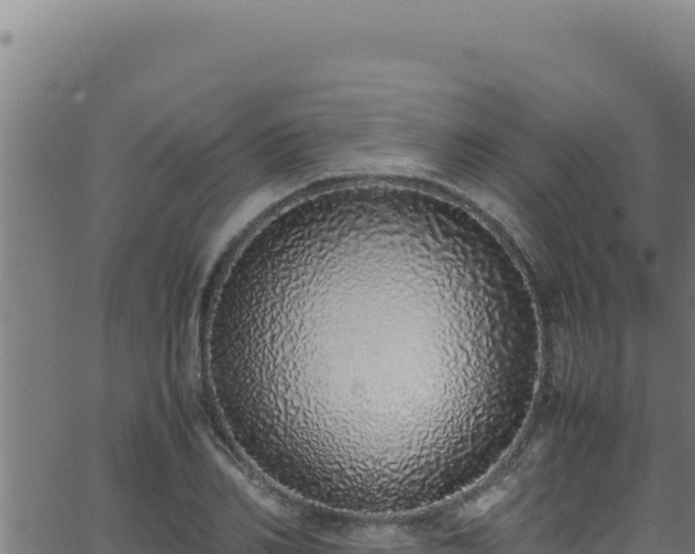 X0000062900982200601171535