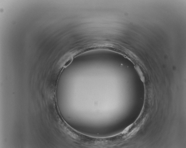 X0000062900985200601171535