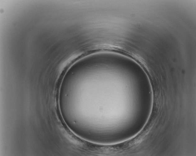 X0000062900987200601171535