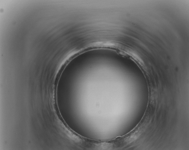 X0000062900992200601171535