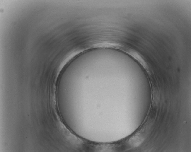 X0000062901000200601171535