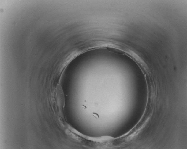 X0000062901001200601171535