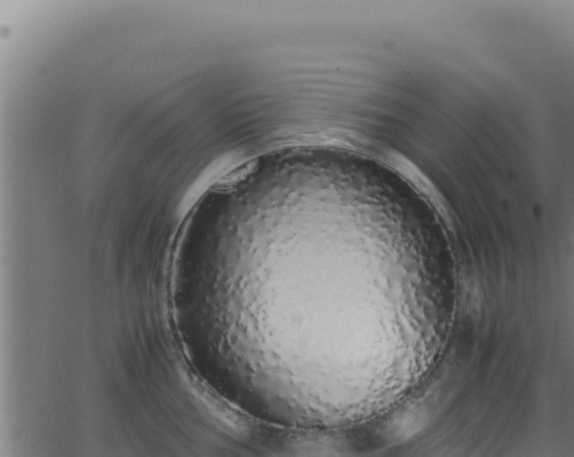 X0000062901002200601171535