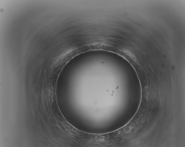 X0000062901111200601171532