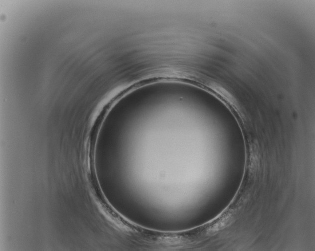 X0000062901128200601171532