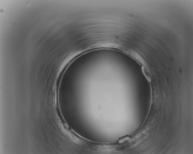 X0000062901132200601171532