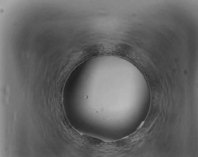 X0000062901153200601171532