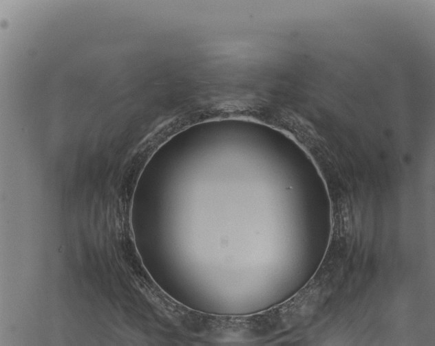 X0000062901158200601171532