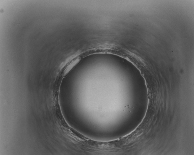 X0000062901160200601171532