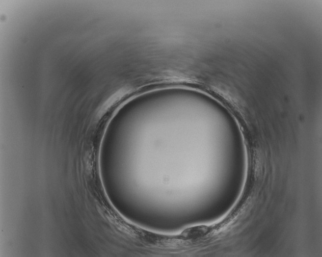 X0000062901163200601171532