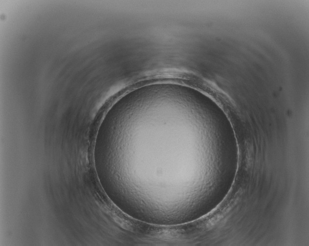 X0000062901166200601171532