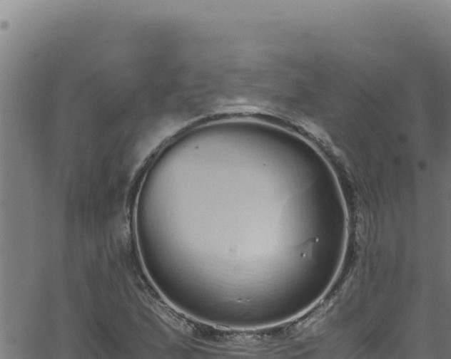 X0000062901167200601171532