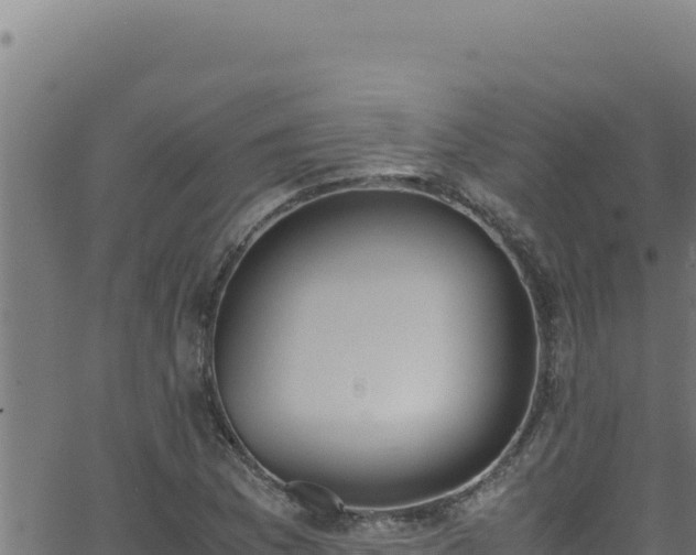 X0000062901169200601171532