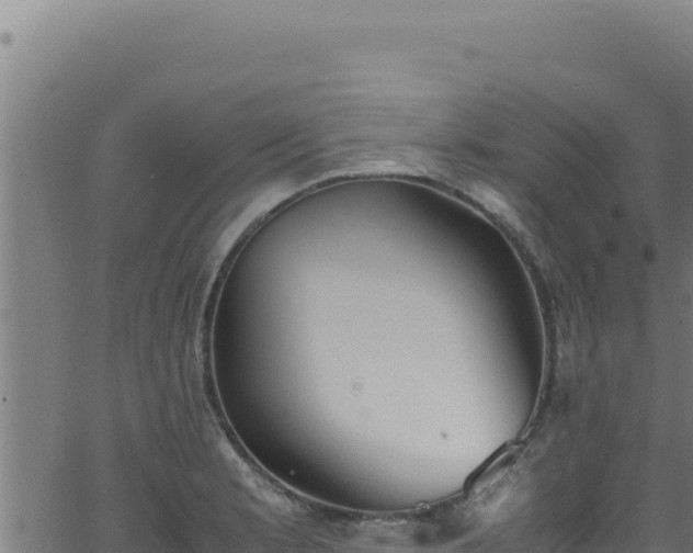 X0000062901181200601171532