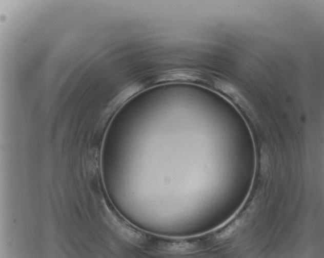 X0000062901233200601171531