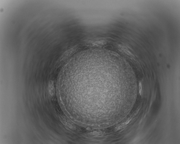X0000062901395200601171527