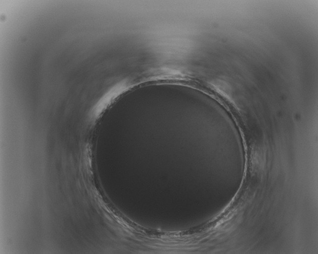 X0000062901455200601171527
