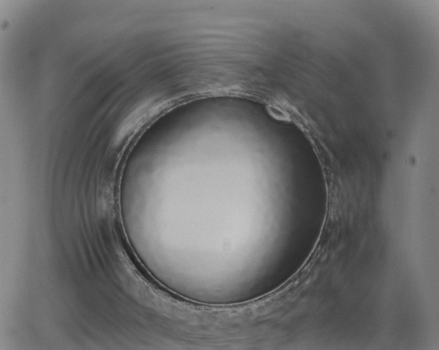 X0000062900002200601201923