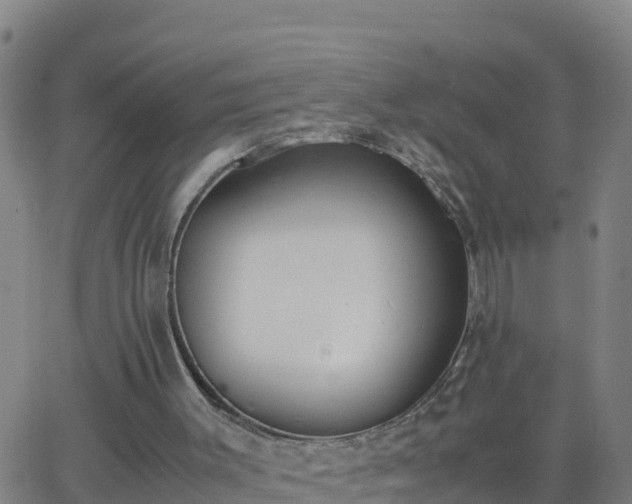 X0000062900003200601201923