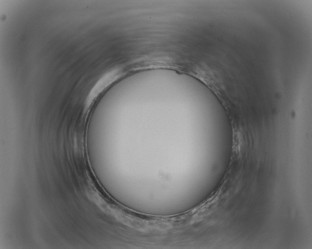 X0000062900004200601201923