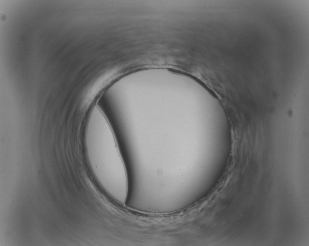 X0000062900005200601201923