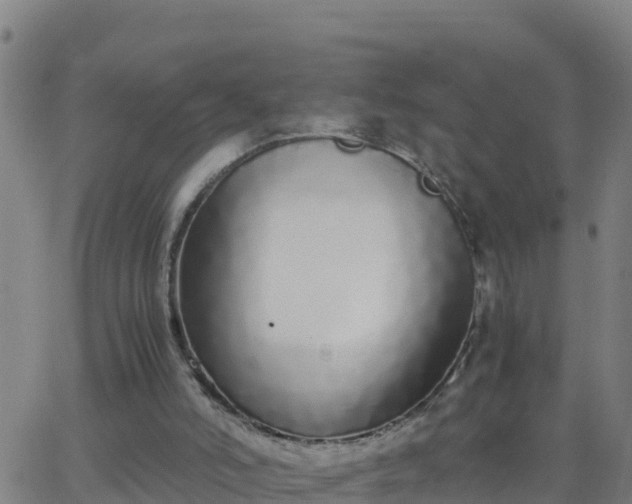 X0000062900006200601201923