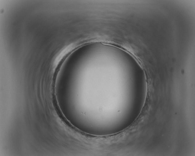 X0000062900007200601201923