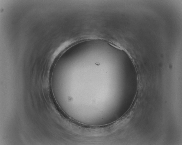 X0000062900008200601201923