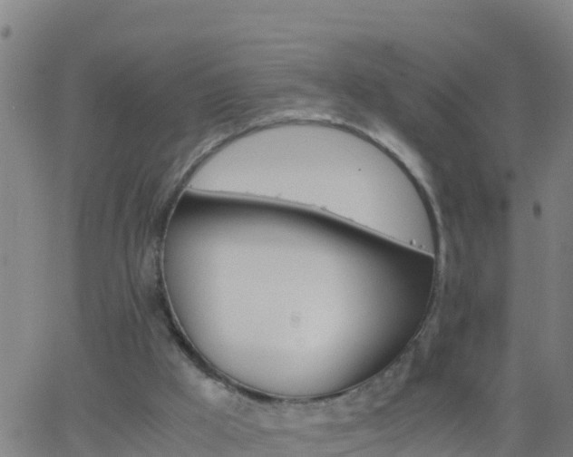 X0000062900009200601201923