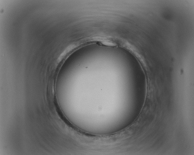 X0000062900011200601201922