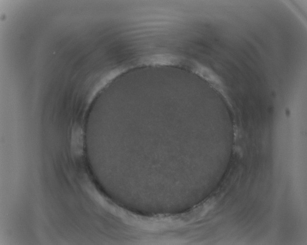 X0000062900012200601201922