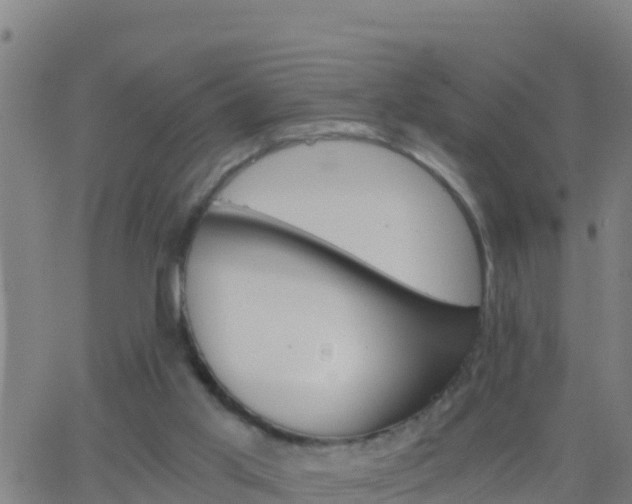 X0000062900013200601201922