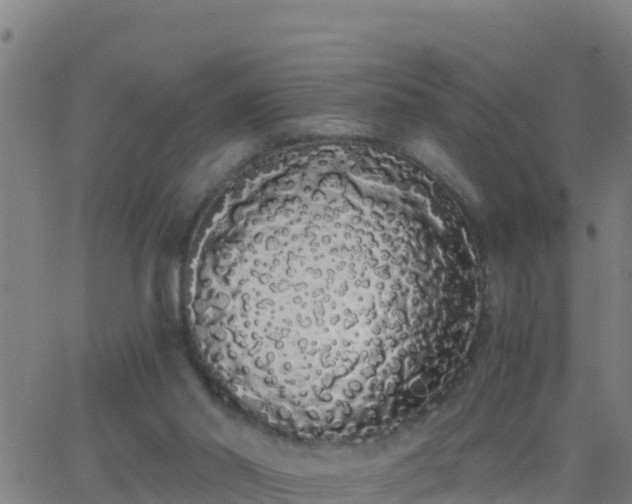 X0000062900014200601201922