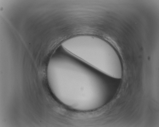 X0000062900017200601201922