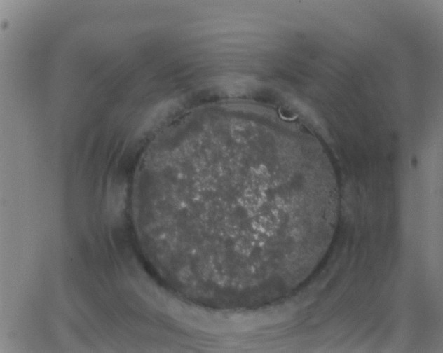 X0000062900018200601201922