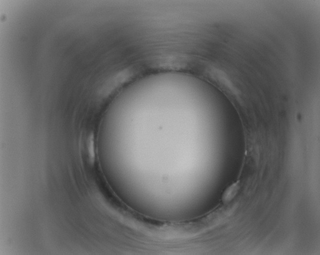 X0000062900020200601201922