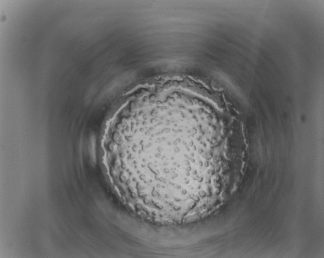 X0000062900022200601201922