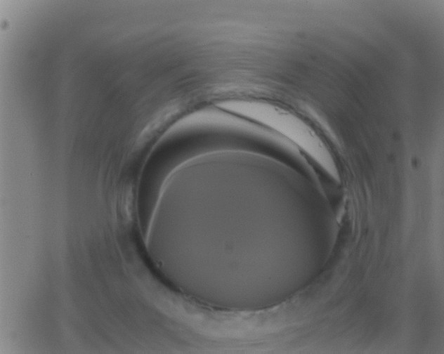 X0000062900023200601201922