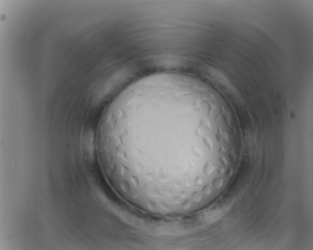 X0000062900024200601201922