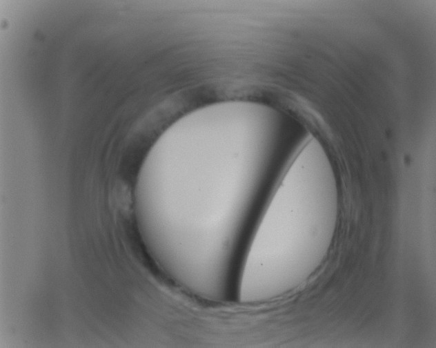 X0000062900025200601201922