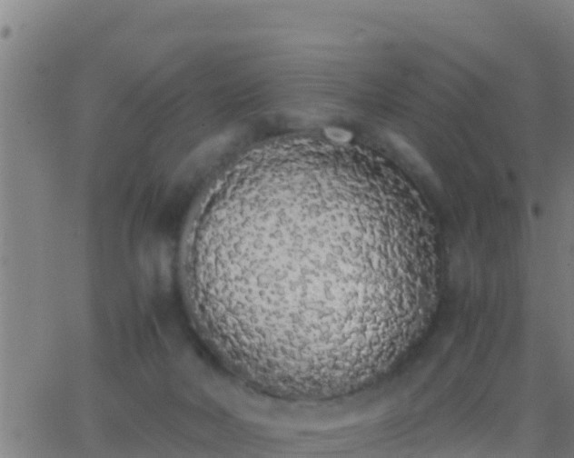 X0000062900026200601201922