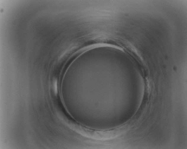 X0000062900027200601201922