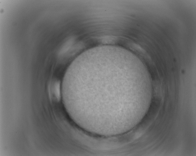 X0000062900028200601201922