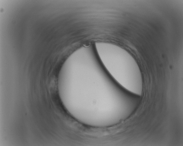 X0000062900029200601201922