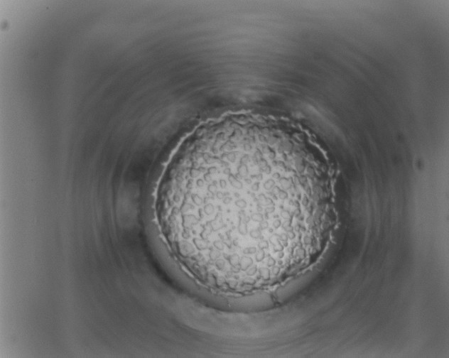 X0000062900030200601201922