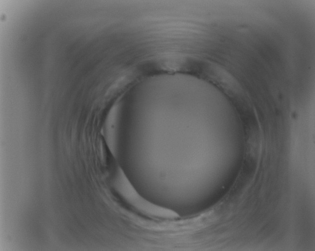 X0000062900031200601201922