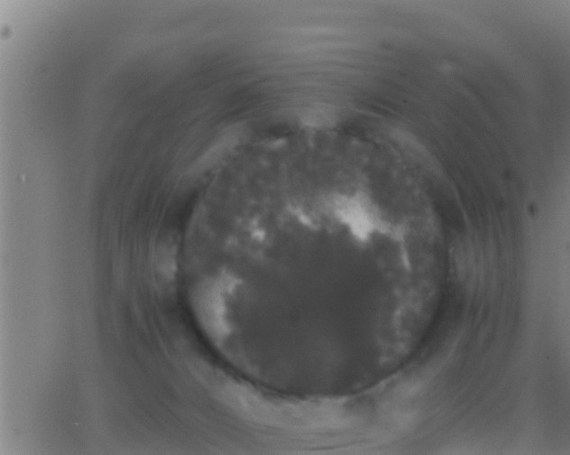 X0000062900032200601201922