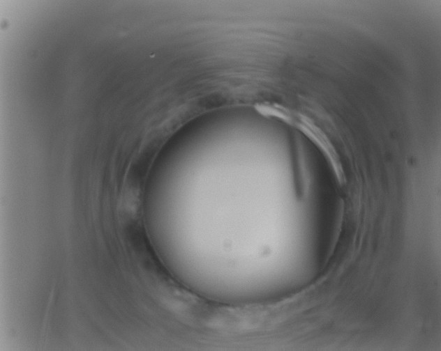 X0000062900033200601201922